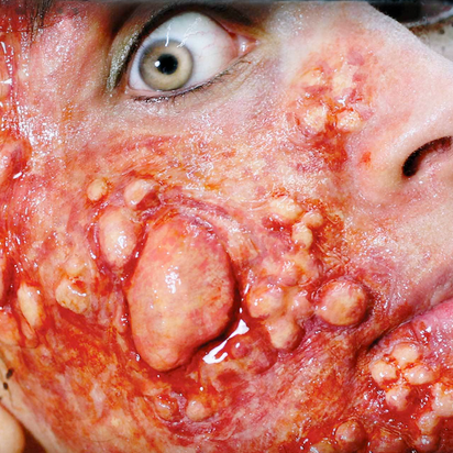 tinsley fx transfers outbreak make up effect