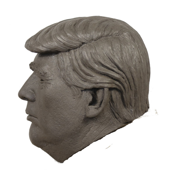 Presidential Trump Adult Mask