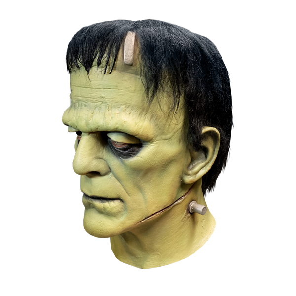 Frankenstein Mask - Universal Studios